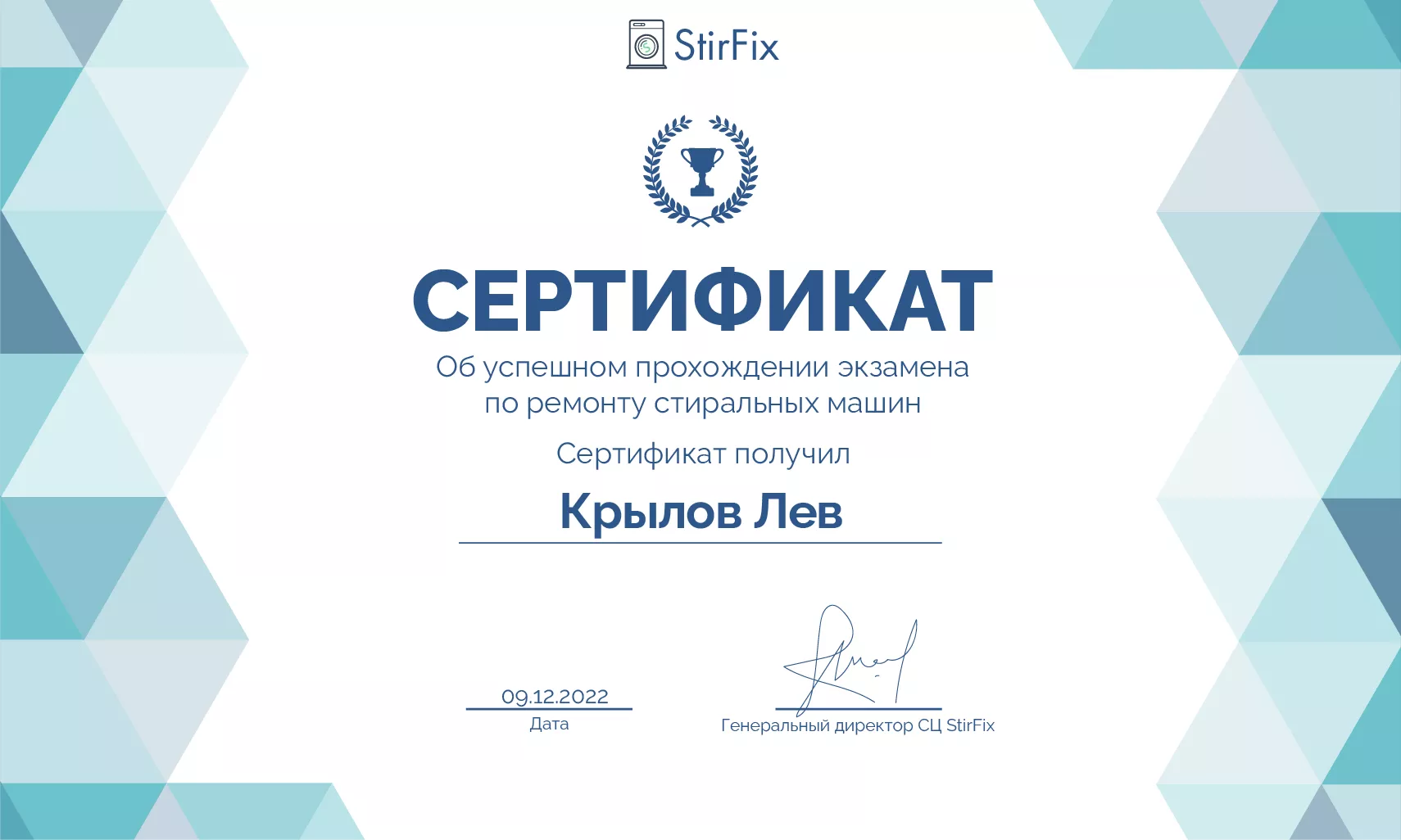 Крылов Лев сертификат мастера по ремонту стиральных машин